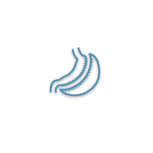 Sleeve Gastrectomy
